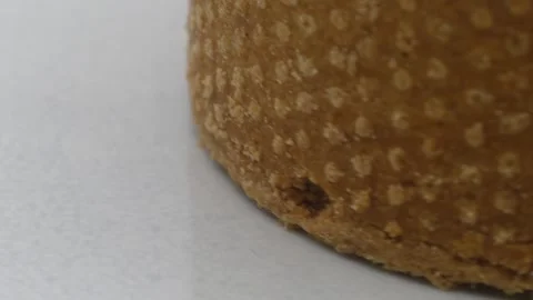 Chicory and Speculoos Flan Stock-Footage 347907317
