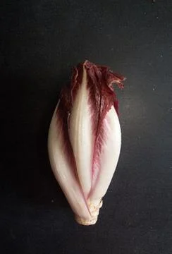 Chicory on black background. Half cut cabbage. Stock Photos