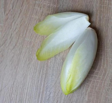 Chicory, endive, succory. Witlof vegetable. Fresh leaves chicory Stock Photos