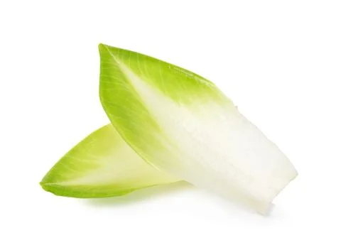 Chicory isolated on a white background Stock Photos