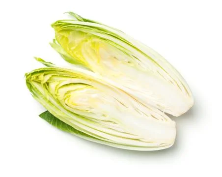 Chicory Isolated on White Background Stock Photos