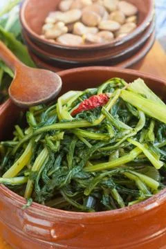 Chicory Stock Photos