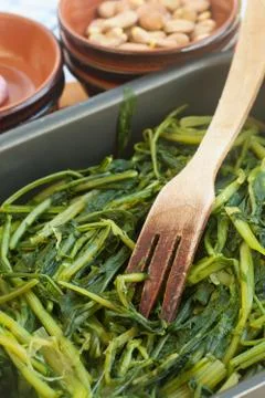 Chicory Stock Photos