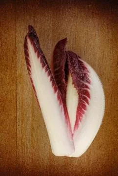 Chicory Stock Photos