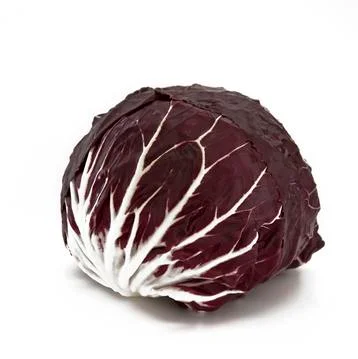 Chicory salad Stock Photos