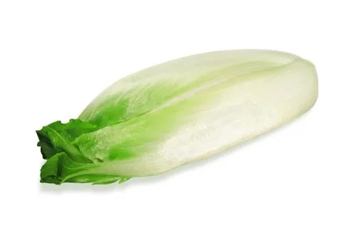 Chicory on a white Stock Photos