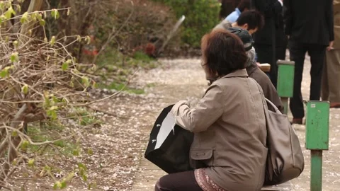 Chidorigafuchi Park Video stock 203778957