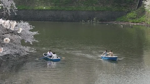 Chidorigafuchi Park Stock Footage 203786745