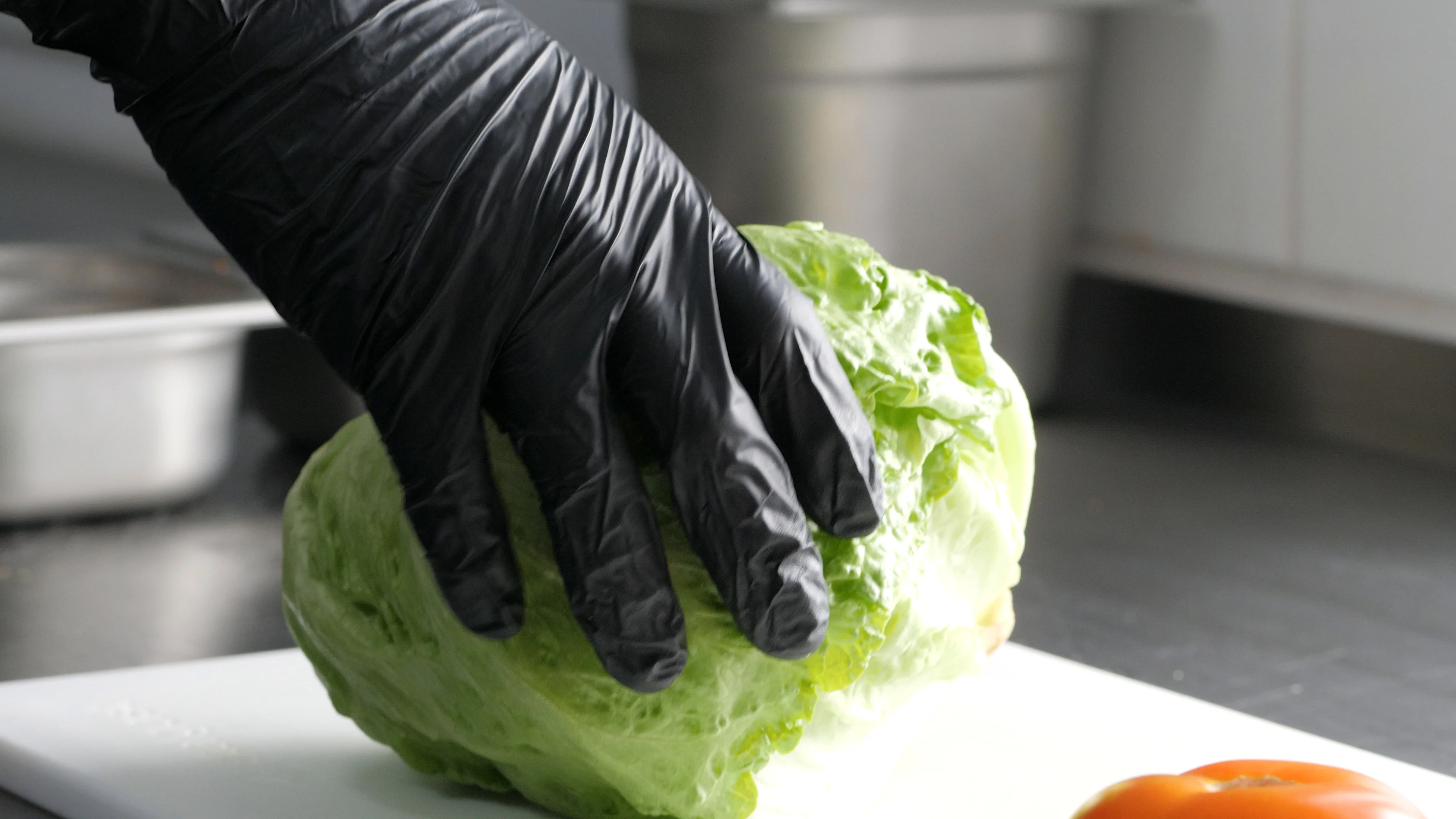 Iceberg Lettuce Cutter - Contacto Bander GmbH - Professional