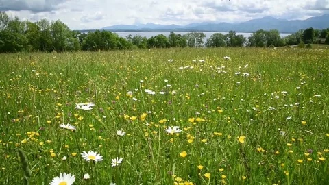 Chiemsee, Bavaria Stock Footage 78776390