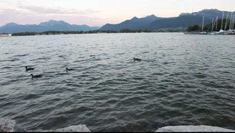 Chiemsee in Bavaria in Germany Stock Footage 8508229