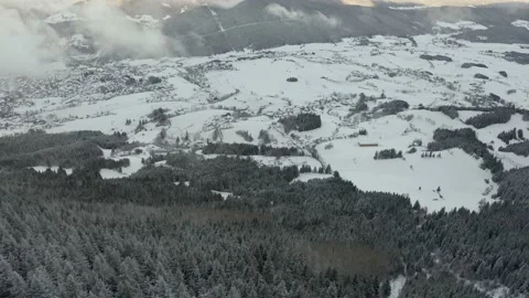 Chien Chenil Stock Footage 158926071