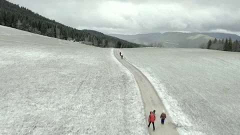 Chien Chenil Stock Footage 158926151