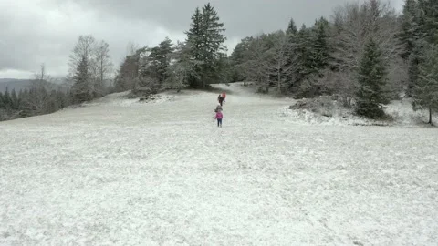 Chien Chenil Stock Footage 158926282