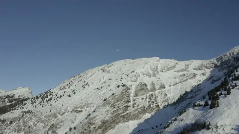 Chien Chenil Stock Footage 158926401