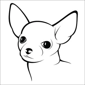 Chihuahua Stock Illustration