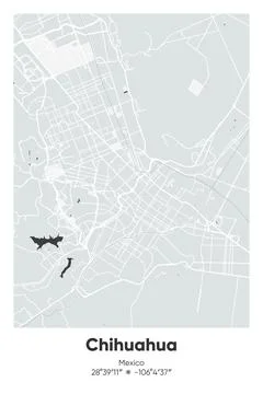 Chihuahua, Mexico - vector map of city in Gray, Black, White, BW colors Stock Illustration