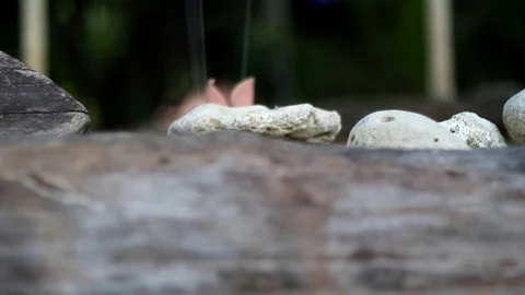 Chihuahua string puppet Stock Footage 89420767