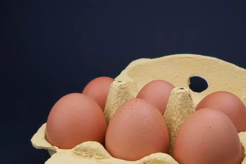 Chiken eggs pack Stock Photos