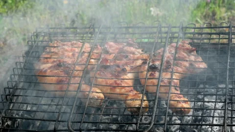 Chiken legs on grill grid. Grilled chicken meat. Cook as picnic time on barbecue Stock Footage 219929461