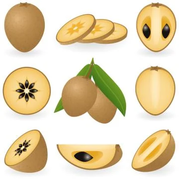 Chiku Stock Illustration