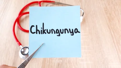 Chikungunya virus text, word note on a stethoscope background, virus, treatment Stock Footage 315047794