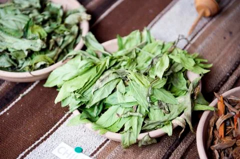 Chilca dye plant 库存照片