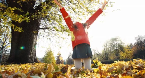 Child 7 years old throws up autumn leaves in the park and smiling at camera Stock Footage 56662264