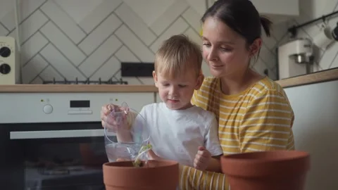 Child adding drainage material to a pot before planting seedlings Stock Footage 331437917