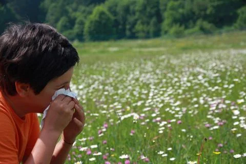 Child with an allergy to pollen while you blow your nose with a white handker Stock Photos