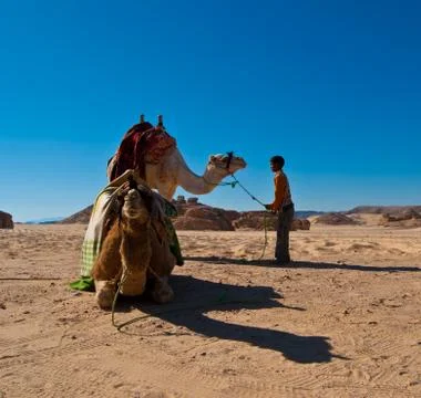 Child and camel 写真素材