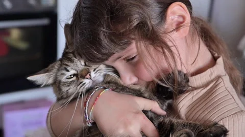 Child and cat. Close-up of fluffy cat in the arms of a child Vidéo 151861190