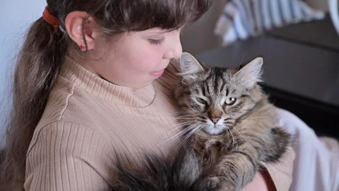 Child and cat. Close-up of fluffy cat in the arms of a child Vidéo 151964788
