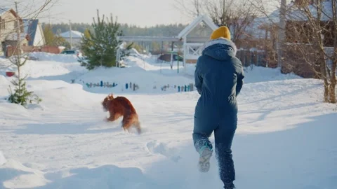 Child and dog chase each other in snowy yard Stock Footage 334836343