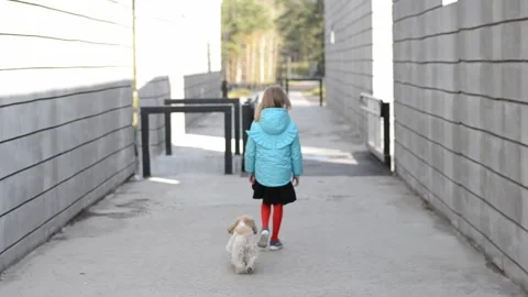 A child and a dog Stock Footage 220496523