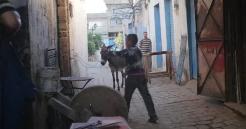 Child and donkey Stock Footage 58659365