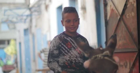 Child and his donkey Stock Footage 58659366