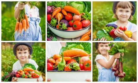 Child and vegetables. Selective focus. Kids summer collage. Stock-Fotos