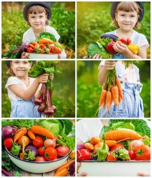 Child and vegetables. Selective focus. Kids summer collage. Stock Photos