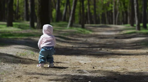 Child are playing with ball in the forest Stock Footage 62734463