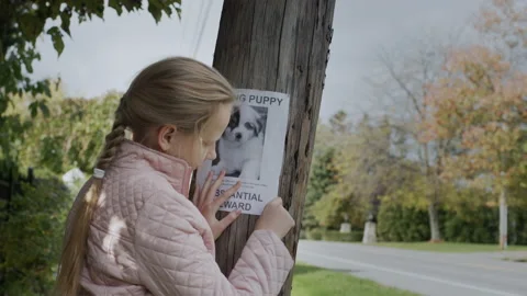 A child attaches a leaflet about a missing cat to a pole. Pet Search Concept Stock Footage 166389279