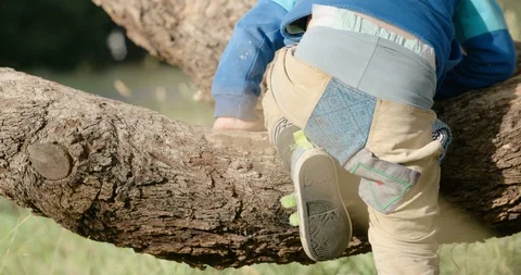 A child attempts to climb a tree Stock Footage 128805119