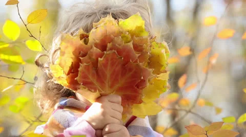 Child in autumn Stock Footage 23117258