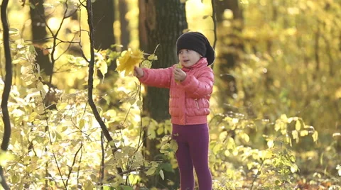 Child in autumn forest Stock Footage 56565326