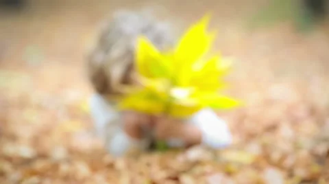 Child in autumn park Stock Footage 27485093