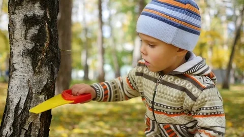 Child in autumn Park having fun playing , Walks in the fresh air Vidéo 80256010