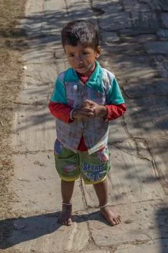 Child in the backyard Stock Photos