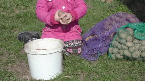A child with a bag of potatoes Video stock 253378581