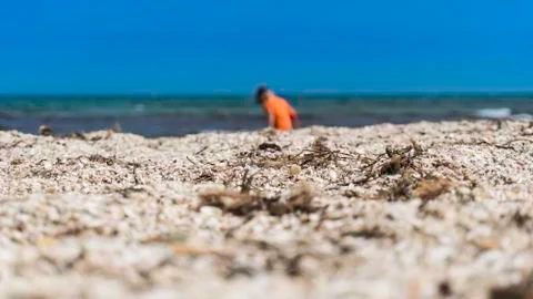 The child on the beach Stock Photos