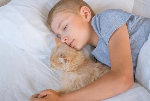 A child in bed cannot fall asleep, yawns, grimaces and plays with a ginger ca Stock Photos